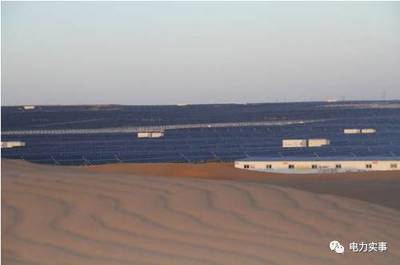 世界最大太阳能电站并非死亡禁区，风能发电同样面临生态挑战