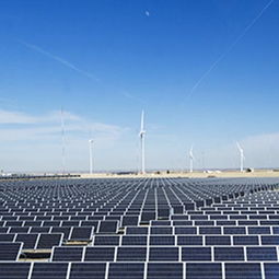 睿晶光伏太阳能与风能发电的招商优势及联系方式